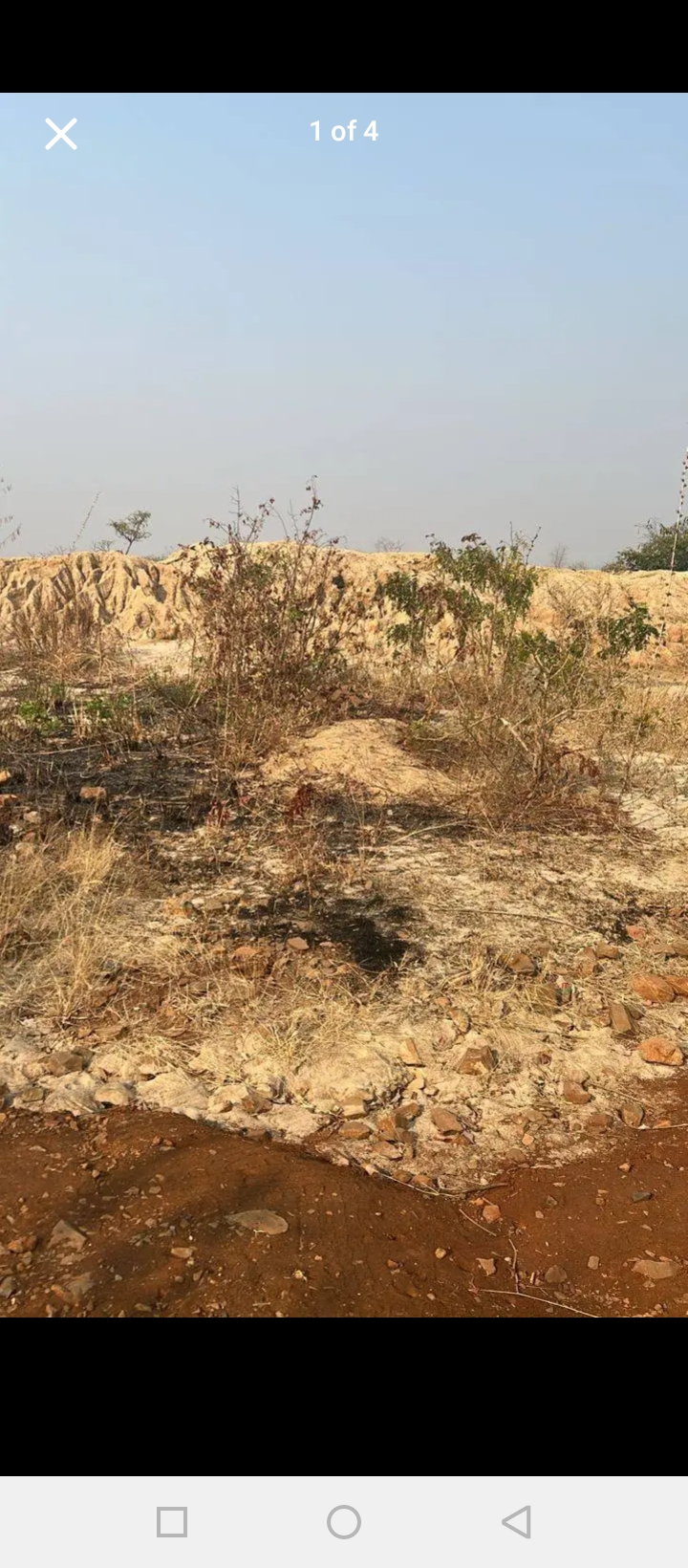 Looking for mine buyers